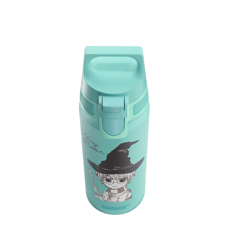 Gourde enfant WMB ONE Kids Harry Potter 0.6 L