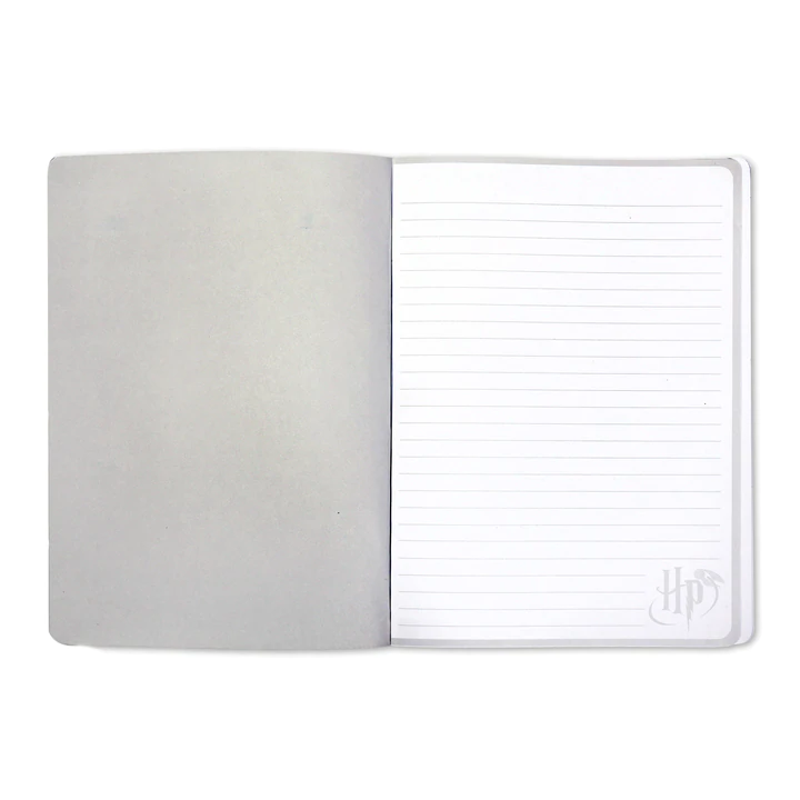 carnet-de-notes-harry-potter-eclair-et-lunettes