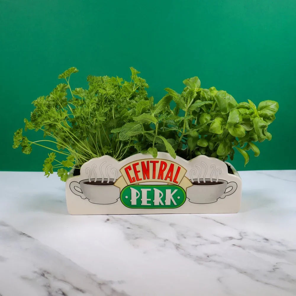 pot-de-fleurs-friends-central-perk-half-moon-bay