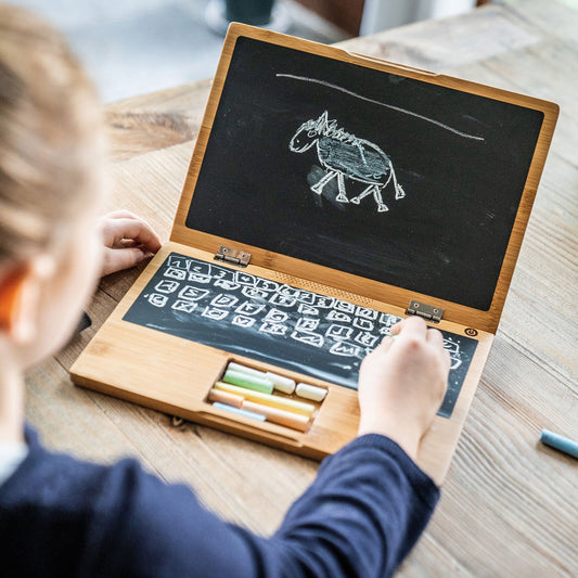 mon-premier-ordinateur-i-wood-donkey