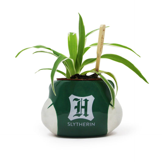 Pot de fleurs Harry Potter - Maison Serpentard