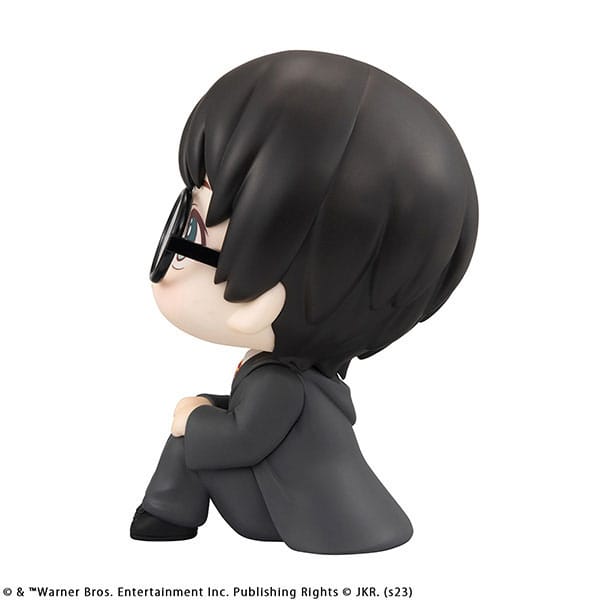 lookup-harry-potter-harry-potter-megahouse