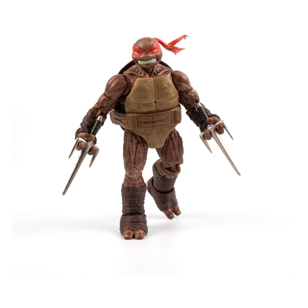 zombie-turtle-idw-comics-the-loyal-subjects