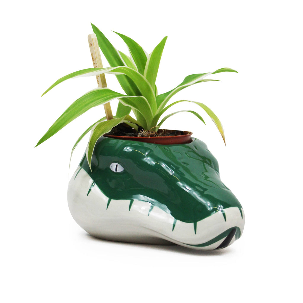 Pot de fleurs Harry Potter - Maison Serpentard