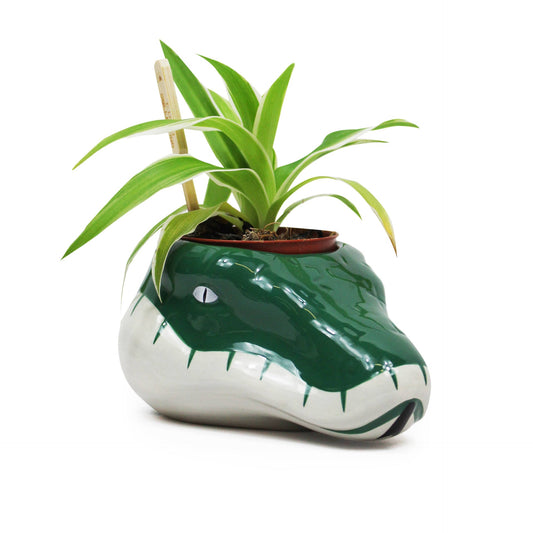 Pot de fleurs Harry Potter - Maison Serpentard