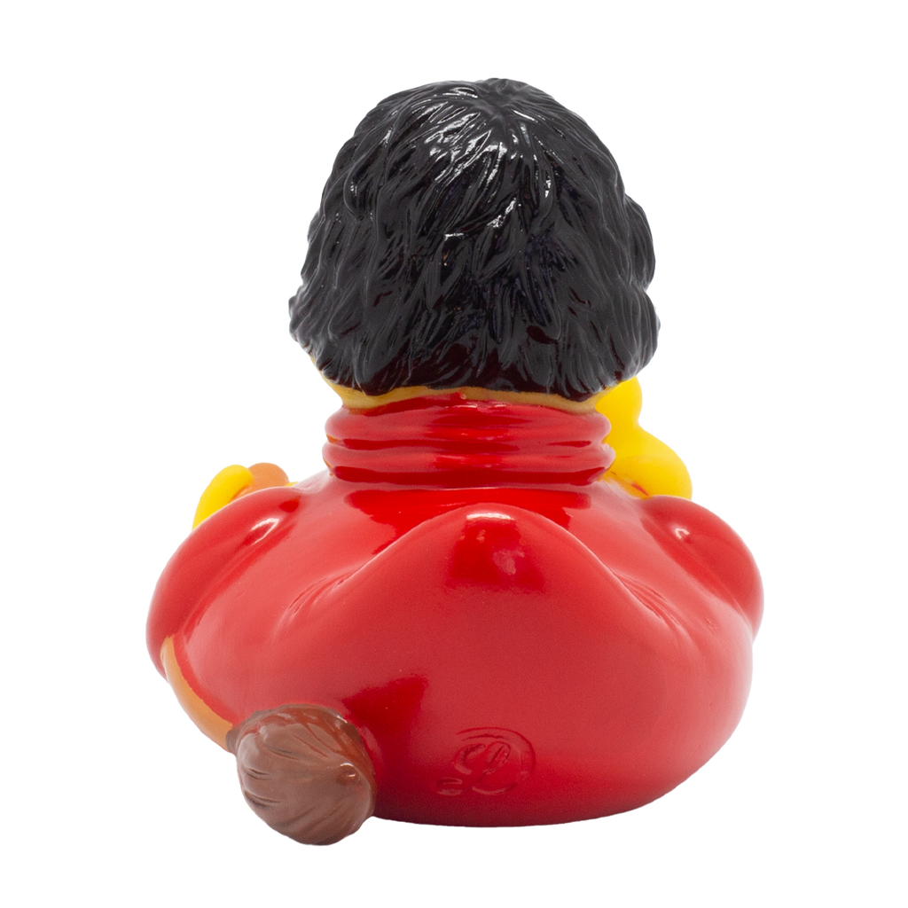 Canard Sorcier