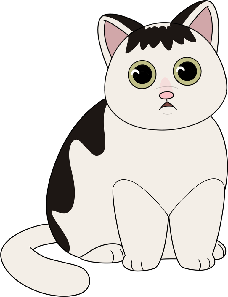 Huh Cat Plush (9in)