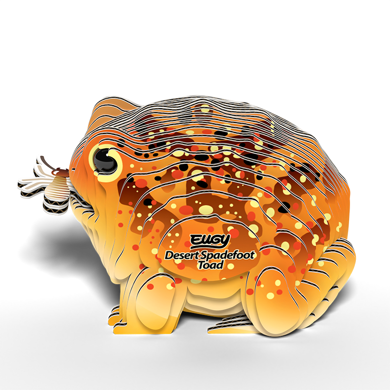 eugy-117-desert-spadefoot-toad