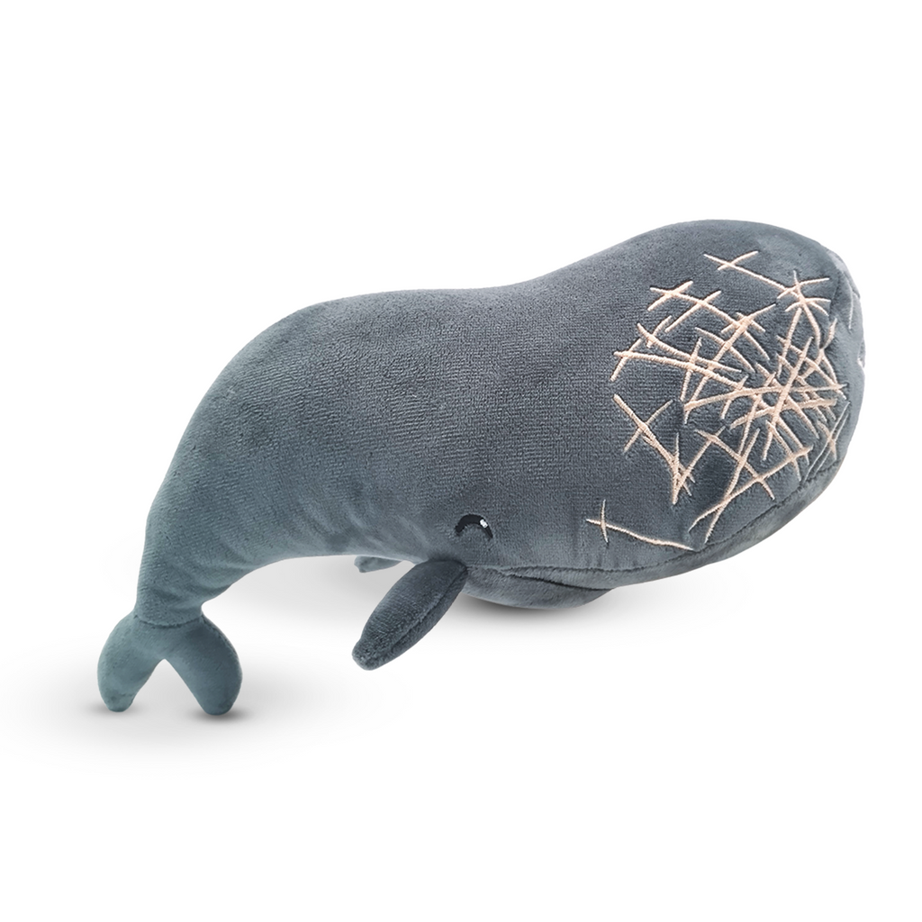 Laboon Plush (9in)