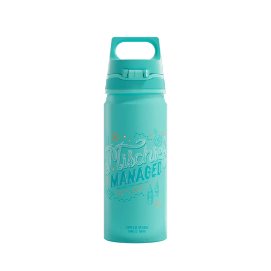 Gourde enfant WMB ONE Kids Harry Potter 0.6 L