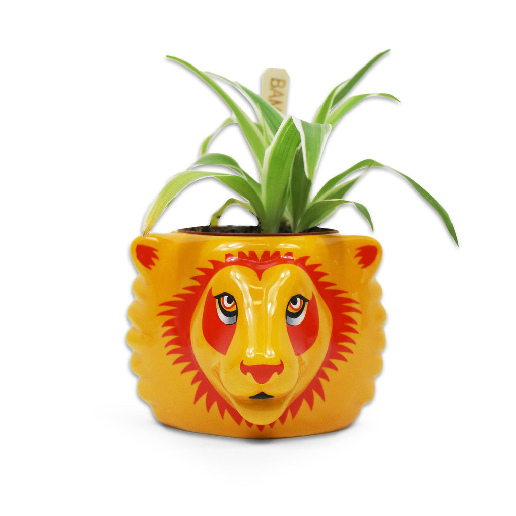 Pot de fleurs Harry Potter - Maison Gryffondor