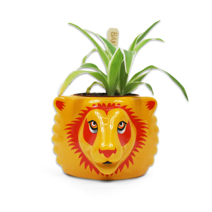 Pot de fleurs Harry Potter - Maison Gryffondor
