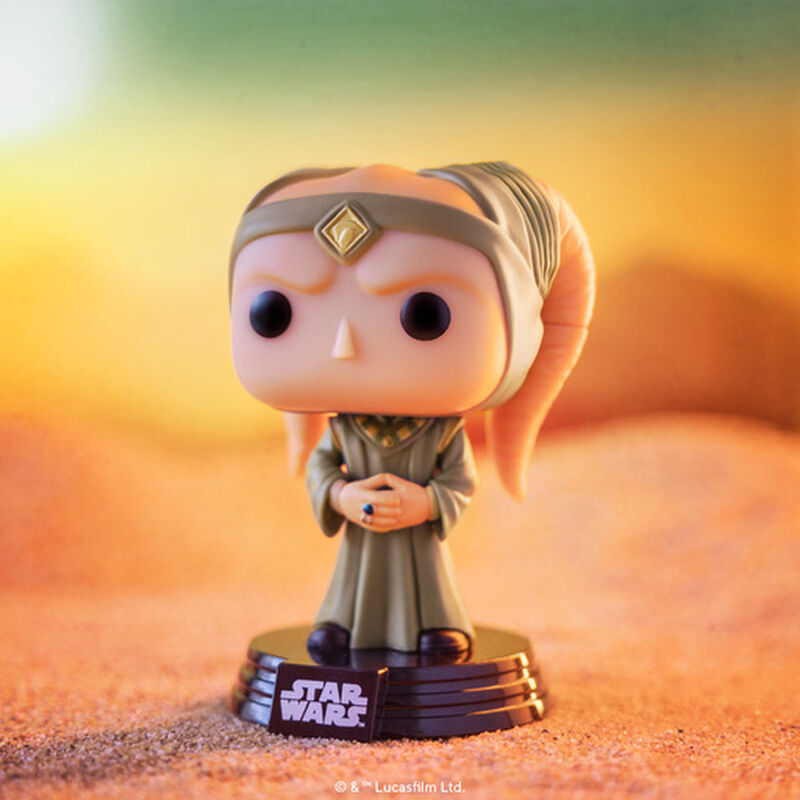 Funko Majordomo – Livre de Boba Fett