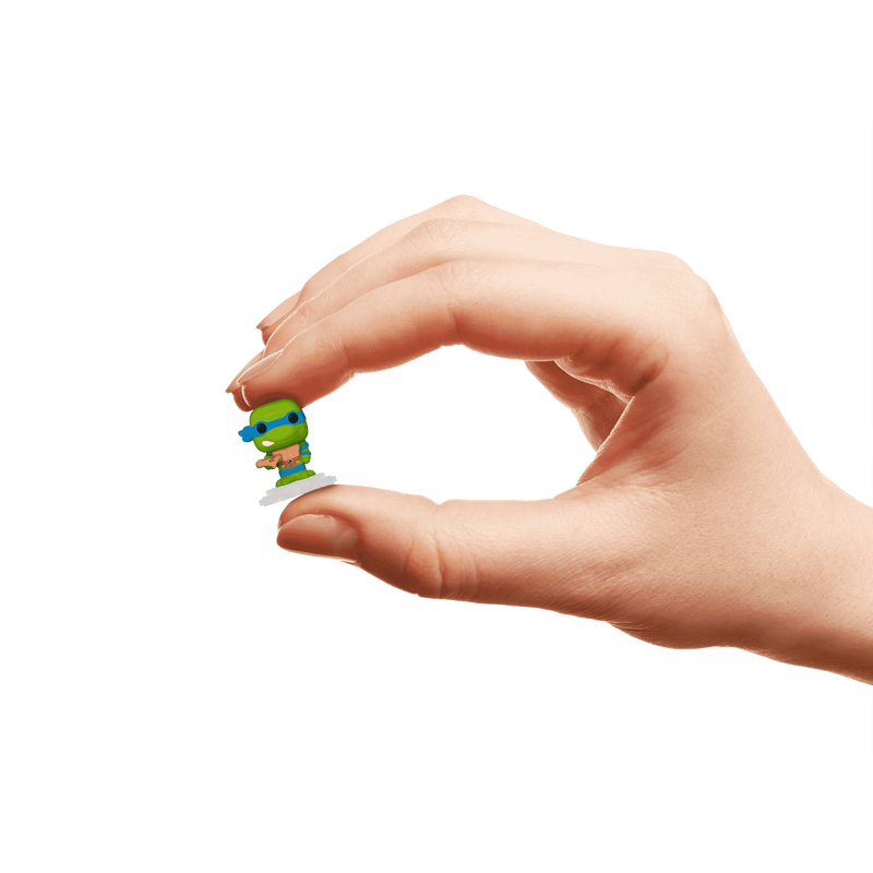 bitty-pop-rides-leonardo-and-turtle-van