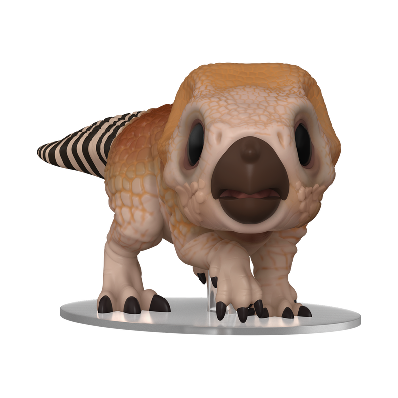 Pop! Aquilops