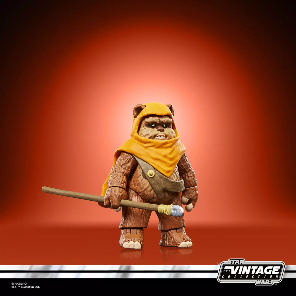 Star Wars The Vintage Collection Wicket et Kneesaa