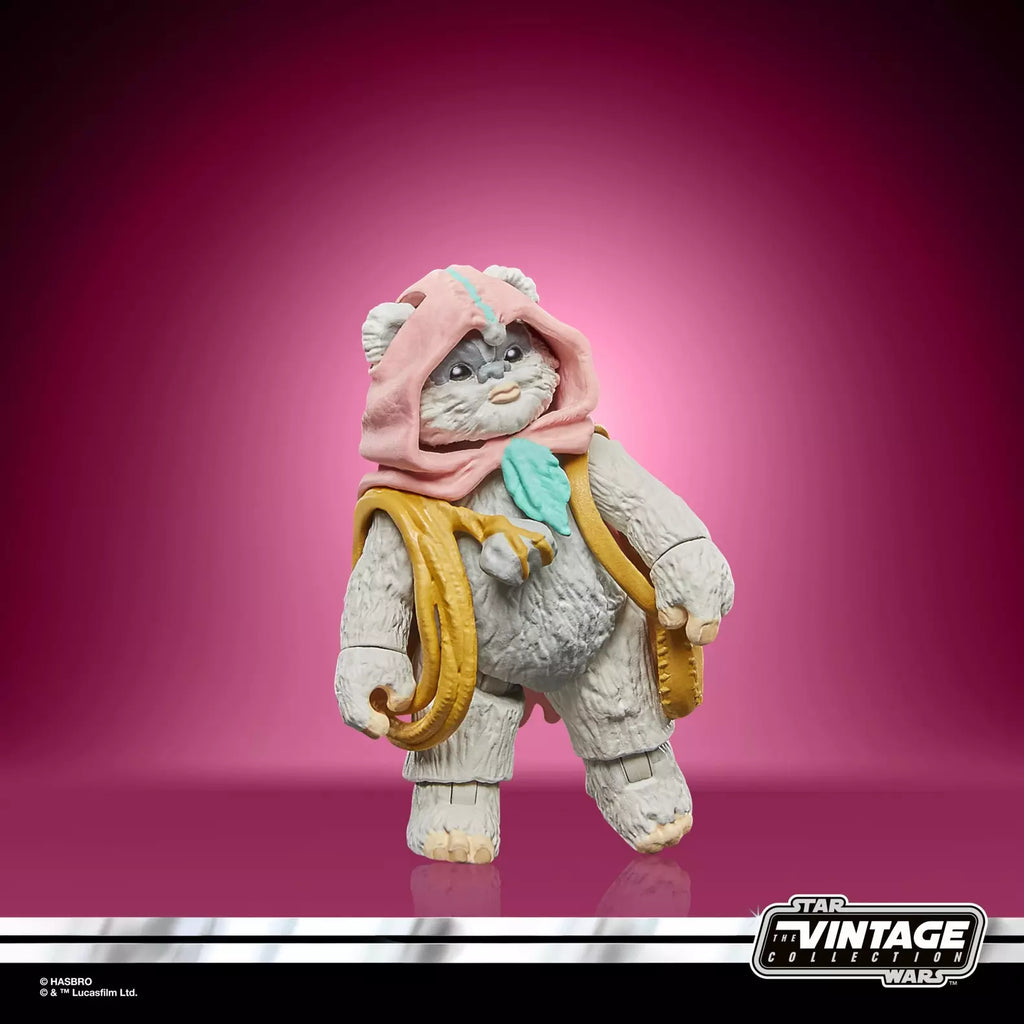 Star Wars The Vintage Collection Wicket et Kneesaa