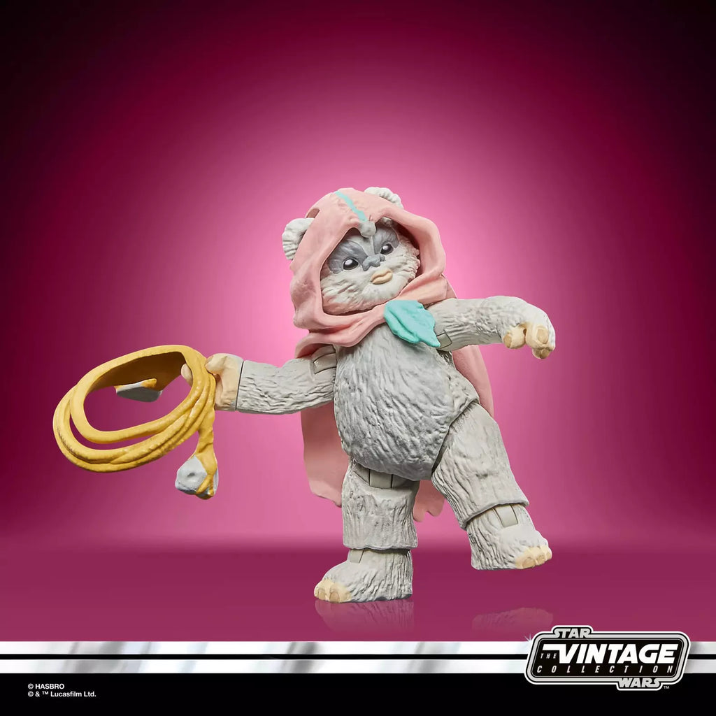 Star Wars The Vintage Collection Wicket et Kneesaa