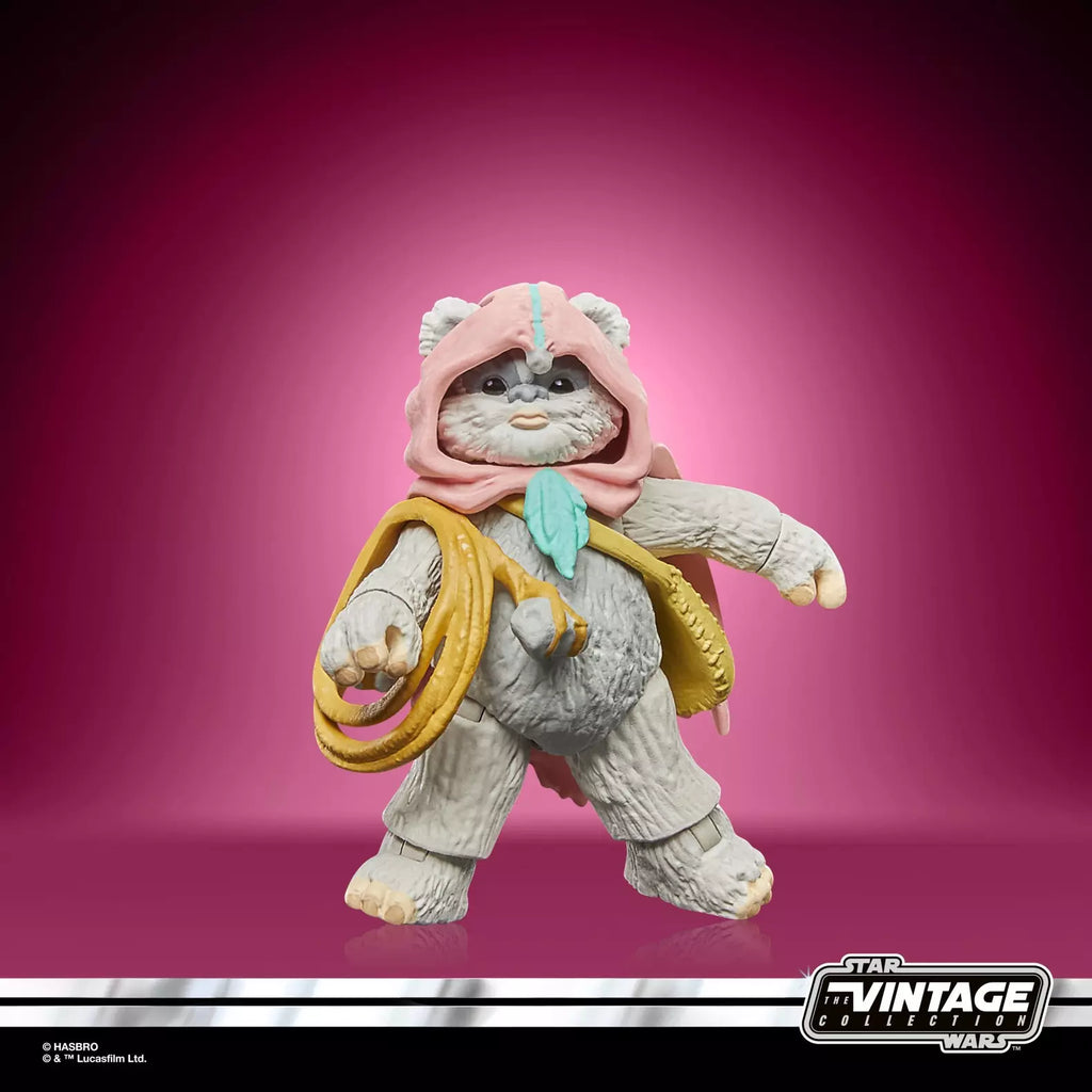 Star Wars The Vintage Collection Wicket et Kneesaa