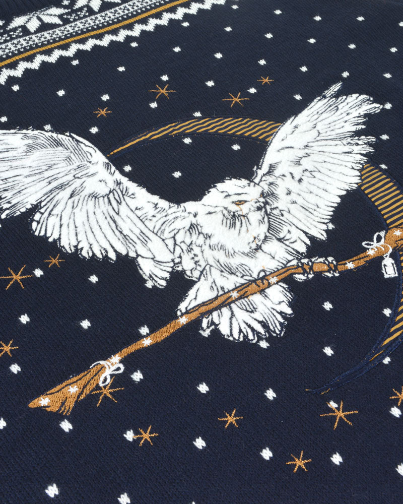 pull-de-noel-harry-potter-hedwige-numskull