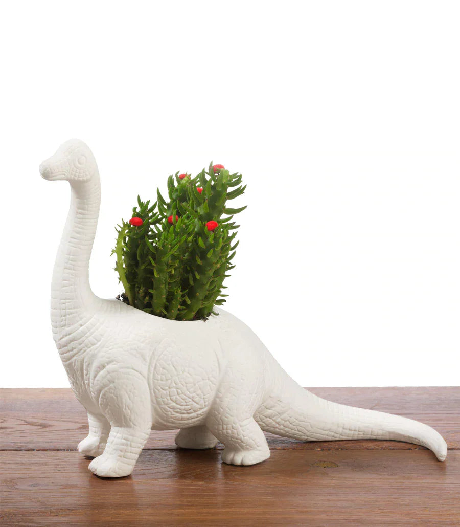 Pot de fleur Dinosaure Plantosaurus Bitten – Cache-pot original