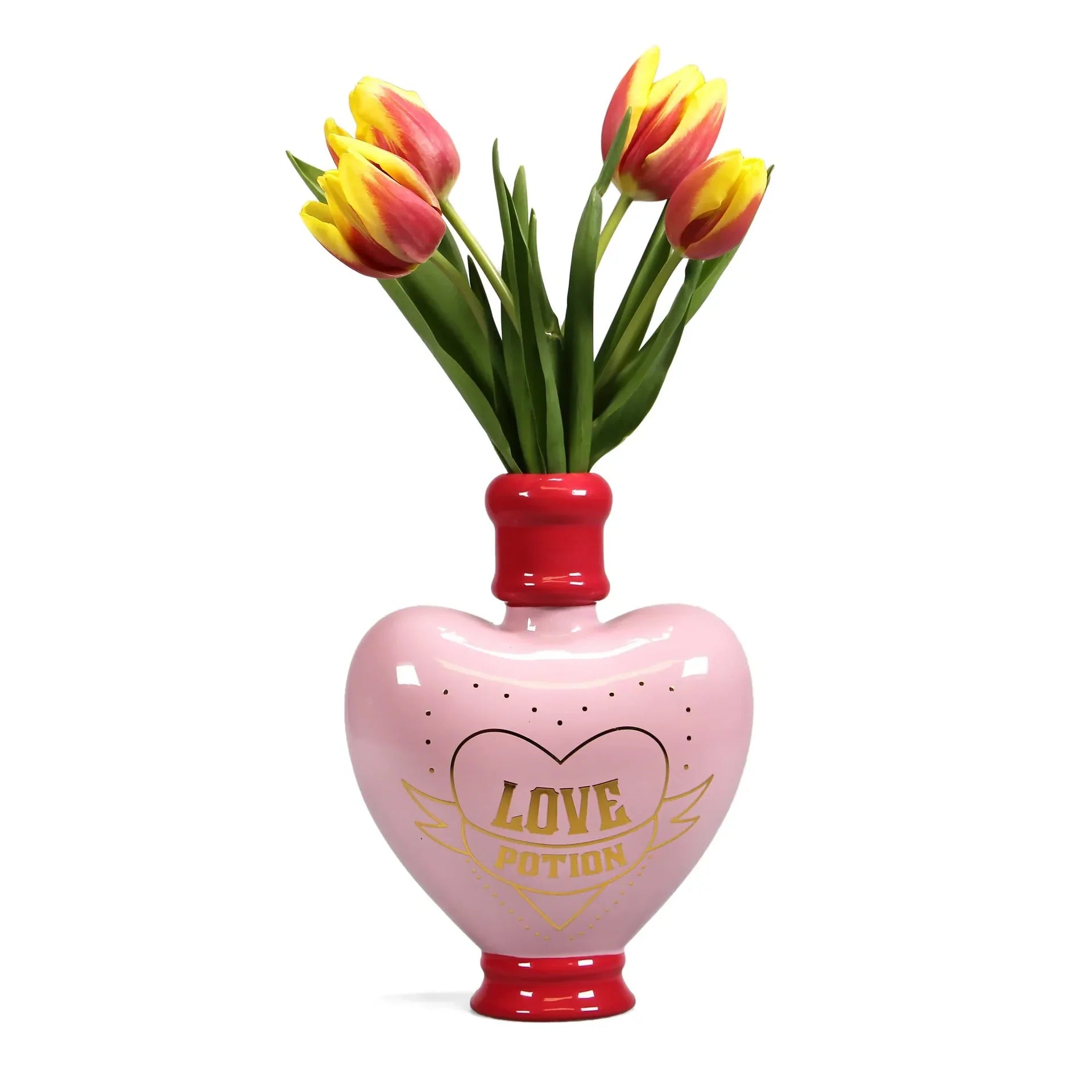 Vase Harry Potter - Philtre d’Amour