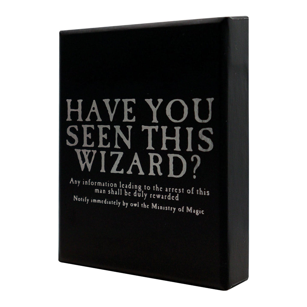 Collier Harry Potter- Prison d'Azkaban