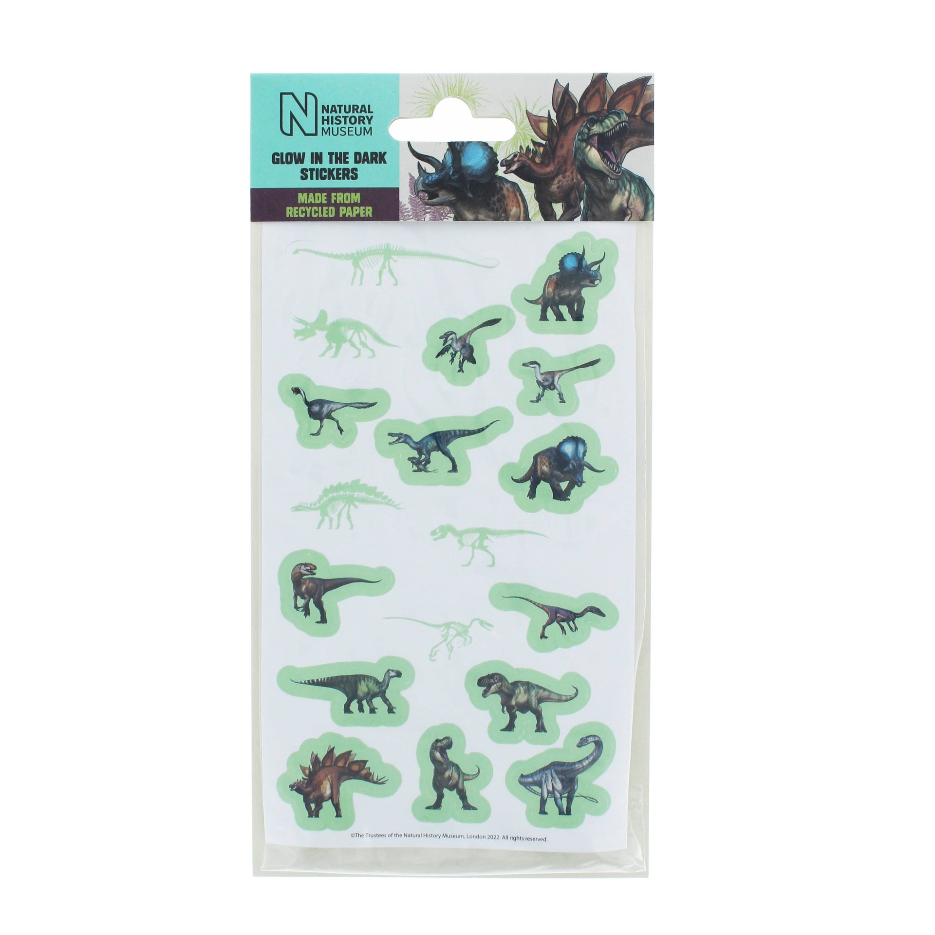 Autocollants – Glow in the dark du Musée d'histoire naturelle | Blueprint Collections – vue 1