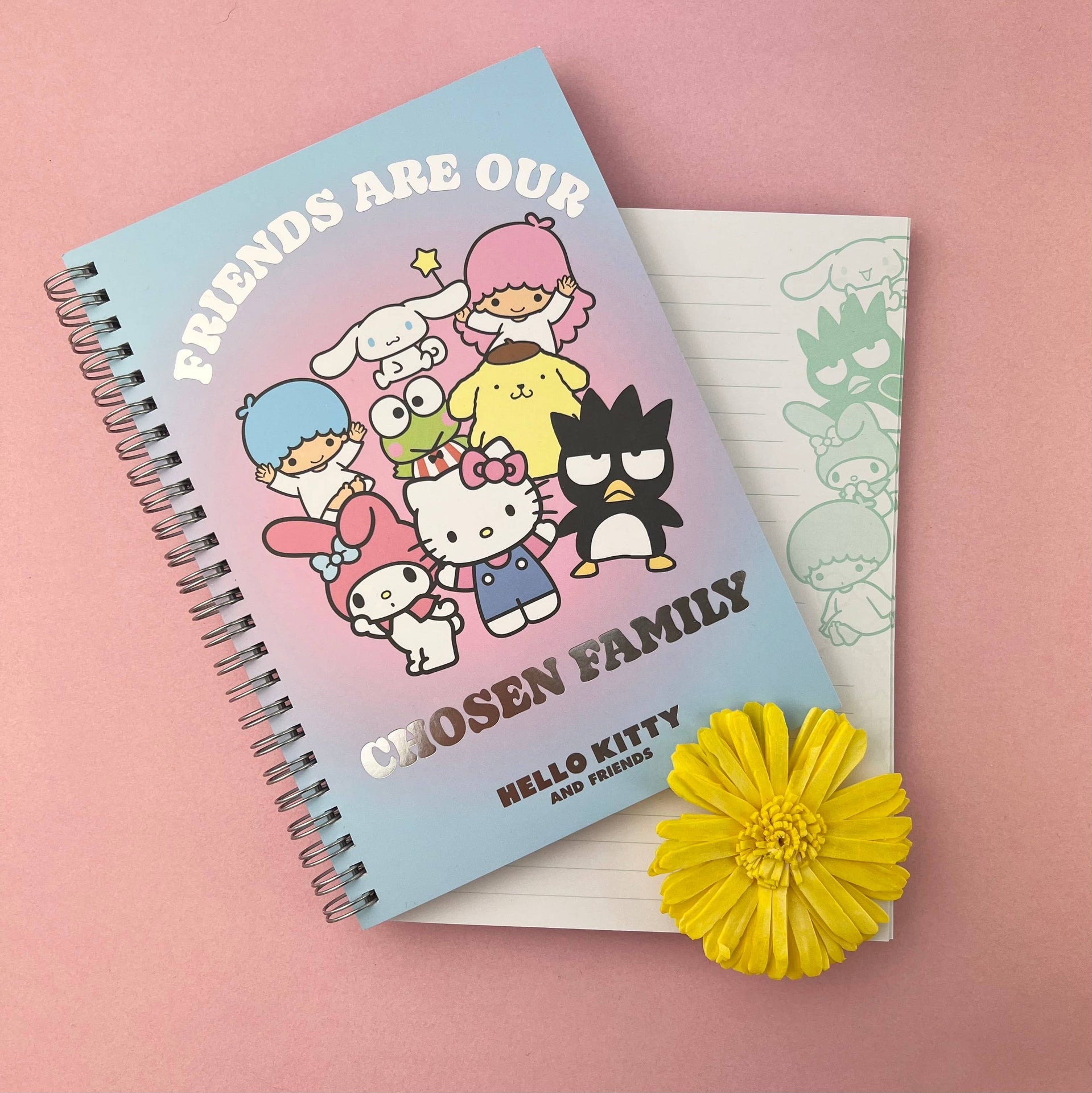 Carnet – Hello Kitty A5 | Blueprint Collections – vue 5