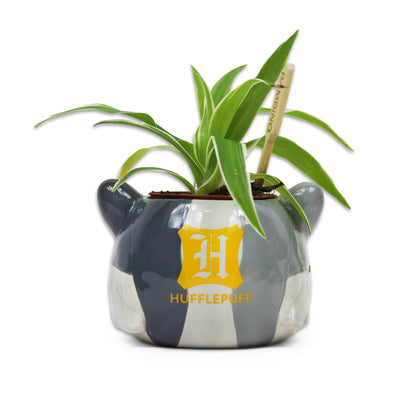 Pot de fleurs Harry Potter - Maison Poufsouffle
