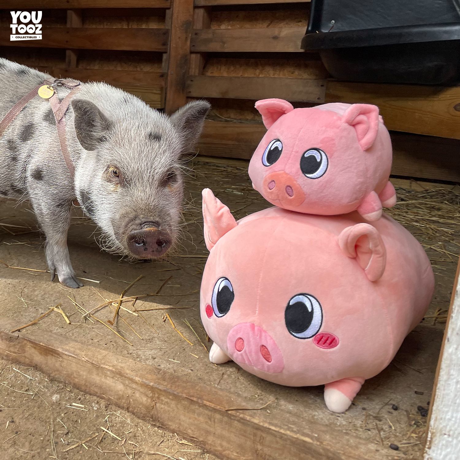 Piggy Pillow (1ft)