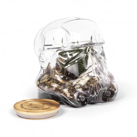 terrarium-stormtrooper